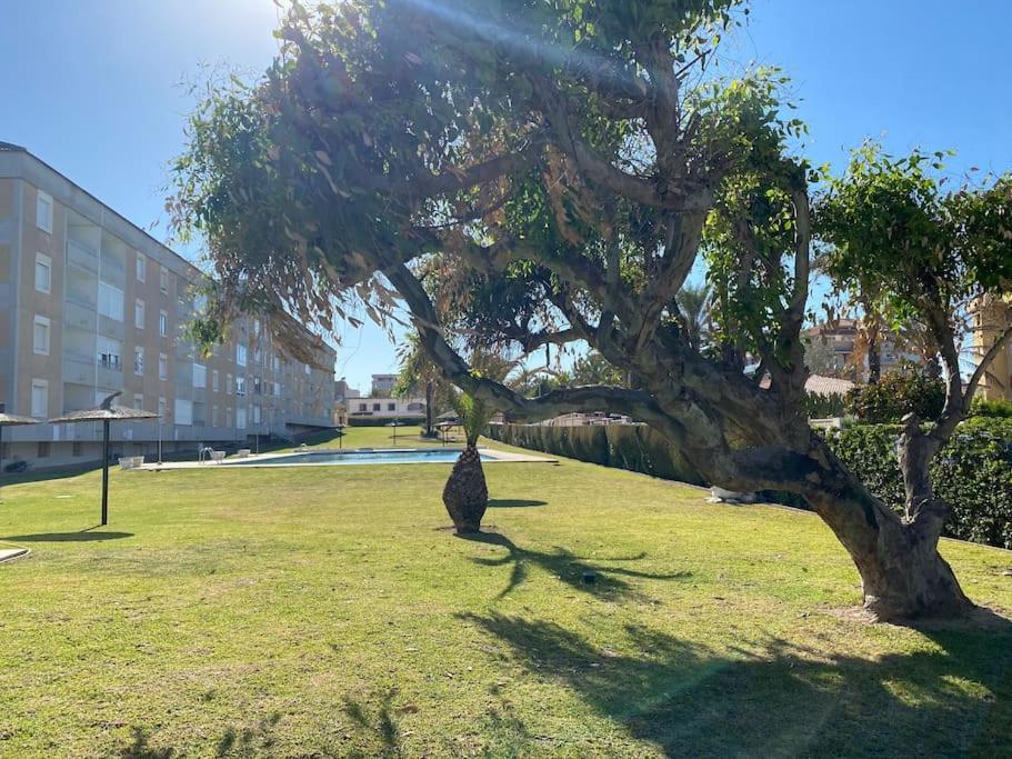 Nautilus Hygge Home Torrevieja Exteriör bild